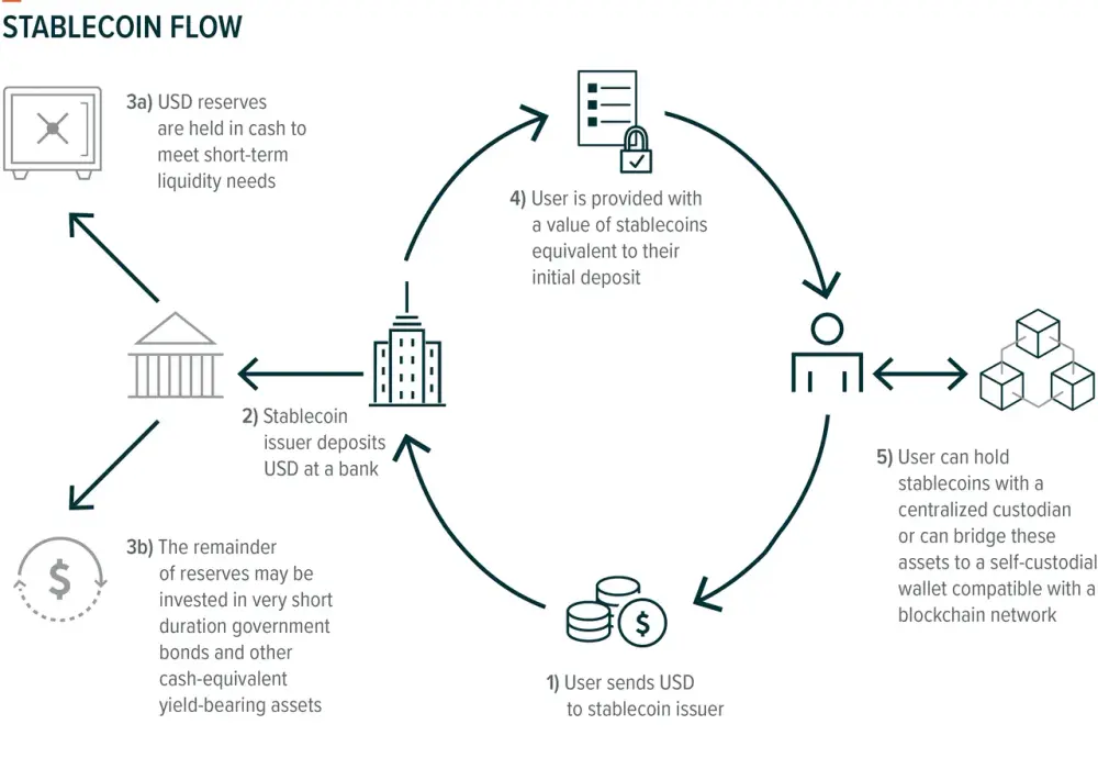 Stablecoin - jak działa i jakie ryzyko wiąże się z jego zakupem