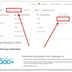 800 plus: Automatycznie czy nowy wniosek? Pełny poradnik