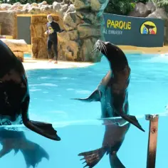 Teneryfa oceanarium: Niezapomniane atrakcje Loro Park czekają na Ciebie