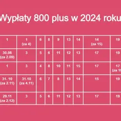 Co z 800 plus? Wniosek 2025/2026, zasady i terminy