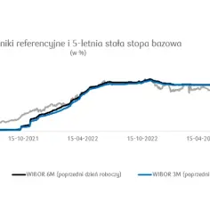 Co się stanie z kredytem po 5 latach stałego oprocentowania? Zaskakujące informacje